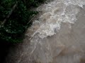 torrent torrent