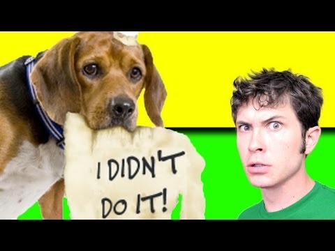 Puppy Thief