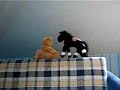 Das b�renstarke Puppentheater