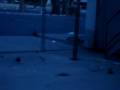 Tapeball 3