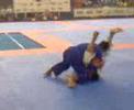 XI Copa Gavazza Jiu-Jitsu