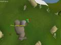 Runescape quest: Grim Tales!