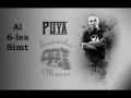 Puya – Al 6-lea simt