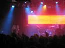The Fratellis - live
