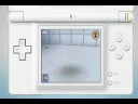The Sims 2 Apartment Pets for Nintendo DS The Sims 2 Apartment Pets for Nintendo DS