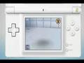The Sims 2 Apartment Pets for Nintendo DS