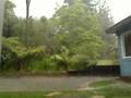 Springtime in New Zealand - luv it, mate....