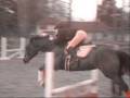 ~Equitation 2~