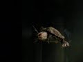 Terrapins