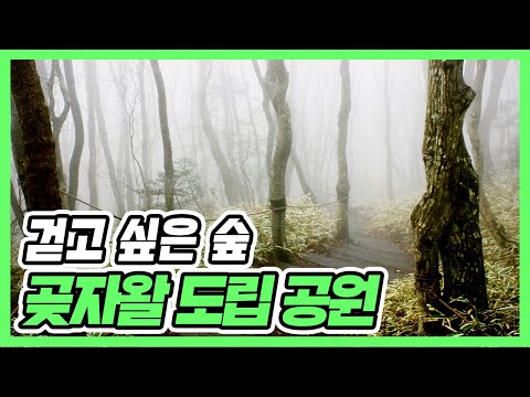 곶자왈도립공원-JDC