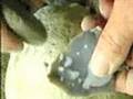 Guarda video