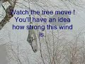 Survivability of wind wheel in extreme condition Survivability of wind wheel in extreme condition