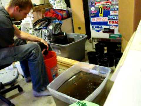 how to transplant from soil to hydro