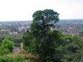 Margao