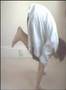 planche push ups