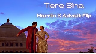 Tere Bina- AR Rahman (Harrlin X Advait Flip) (Visu