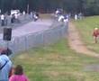 ribiero bourbourg stunt