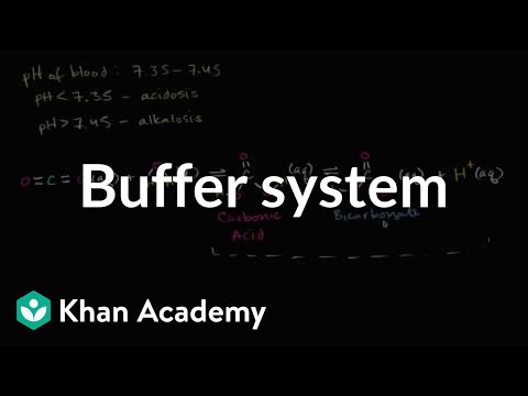 Introduction To Buffers Video Khan Academy