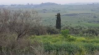 قرية بيت جيز المهجره ..قيس فحماوي