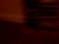 Haunted Tv Ozz Experience
