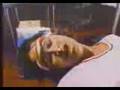 WBAL-Action-News-11-