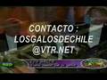 LOS GALOS  COMO DESEO SER TU AMOR
