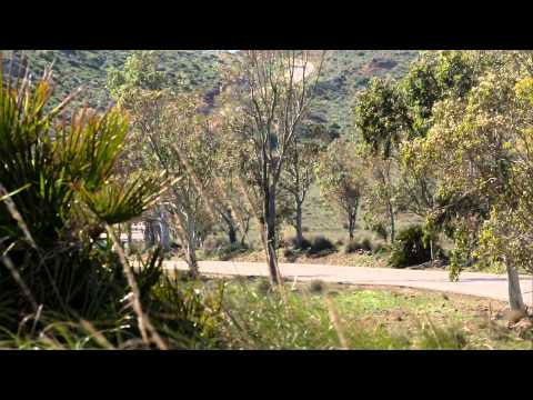 2014 BMW 530d Touring facelift - beauty & driving footage