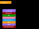 Enterprise 21 ERP Software: It's All in There...