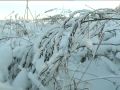 Цените жизнь (14.01.09 часть 3) :: Цените жизнь (14.01.09 часть 3)