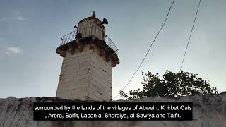 قرية عموريا الجميلة احد زياراتنا | هذه فلسطين | Amoria Visit | This is Palestine