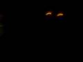 100_1311.MOV