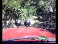 viaje con los panas de cruiserheads 1