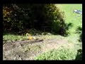 pumpkin smashing-the apley way