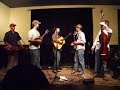 Steam Powered Aeroplane by Pickin' Buds