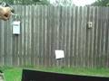videos de Airsoft Target Practice- P36 Pistol