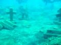 Submarinismo en La Palma