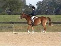 Zoie riding Show Bizz over cross rails at Canterbury in FL.