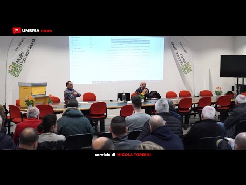 Guarda il video Guarda il video