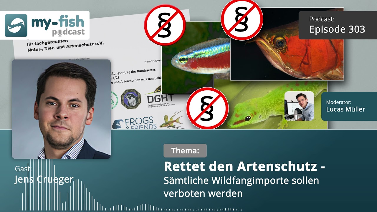 my-fish.org - Rettet den Artenschutz - Sämtliche Wildfangimporte sollen verboten werden (J. Crueger)