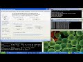 Crack WEP for Beginners part 2 Crack WEP for Beginners part 2