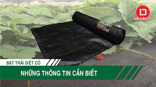 Tổng Quan Về Bạt Trải Diệt Cỏ Lợi Dân