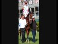 ~Big Brown- the best race horse!~ ~Big Brown- the best race horse!~