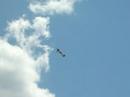 Góraszka 2008 - Su-26
