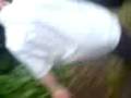 videos de TUBBZ! 005