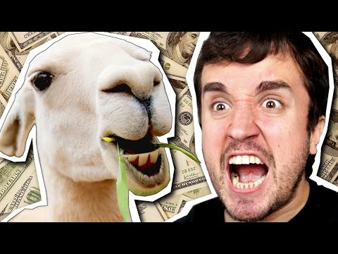 SE A MINHA LHAMA FALASSE! - Jogos da Galera (Parte 11)