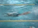 25 m Borboleta.