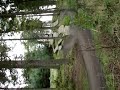 slippy