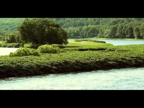 The Sky Is Pink – Promo 2