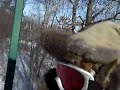 RUSS SKIING