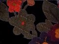 VJ Showreel